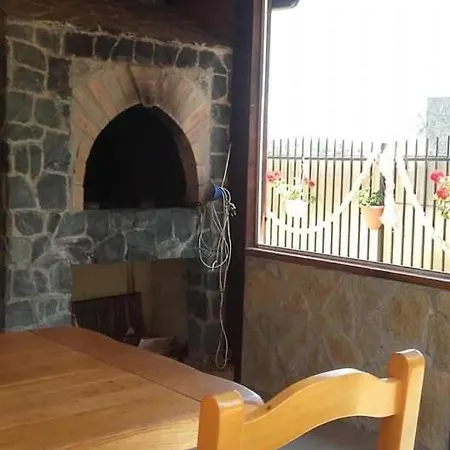 בית הארחה Pensiunea Boris