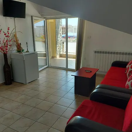 Guest house Pensiunea Boris *