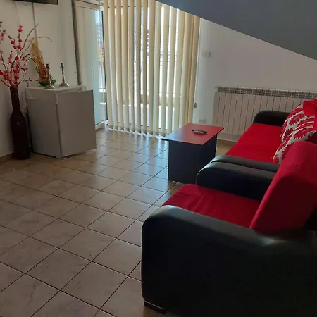 בית הארחה Pensiunea Boris 3*