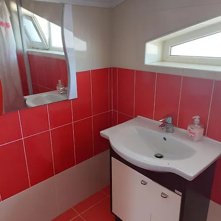 בית הארחה Pensiunea Boris