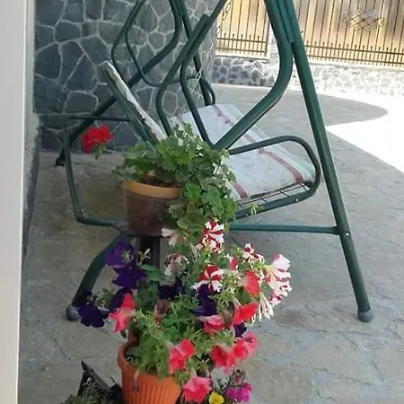 Pensiunea Boris Guest house Navodari
