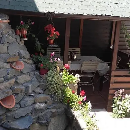 Gæstehus Pensiunea Boris 3*